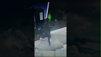 Sex, 69, Doggy, Straight - Unknown - 2025 - Wild - Session - Video 4201315