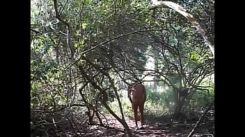 L, Gay, Naturaismo - Gay - 2025 - Amazing - Scene - Video 4071321