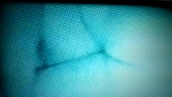 La, Con, Verga, Reyes, Edith, Adentro, Despierta - Unknown - 2025 - Sexy - Performance - Video 4117062