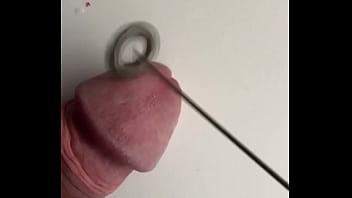 06EB5B43-8177-4D56-86A4-BE05F10DCE9D