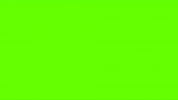Greenscreen, Shitpost - Unknown - 2025 - Steamy - Show - Video 4095073
