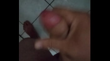 Evegaroro Pela Manha Mais Uma Vez