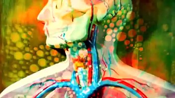 Retro, Vintage - Unknown - 2025 - Wild - Scene - Video 4084188