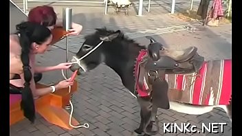 B. Sadomasochism Whipping - fetish, ball-sucking, fisting, ball-licking, mistress, femdom, female-domination, rough-fuck, hotpor - Video 4082685