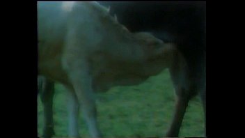 Trailer Caliente Ni_a Julieta