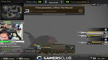 Gaules Gemendo Igual Uma Cadela Desnutrida