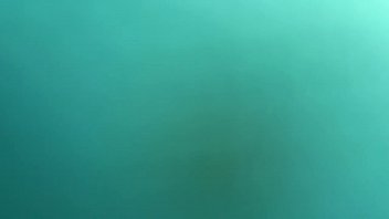 Que Rico Te Mueves 2