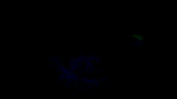 Amateur - Amateur - 2025 - Wild - Performance - Video 6432851