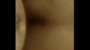 Mi Oso Activo Favorito