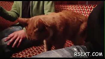 Honey With Tiny Tits Fucks Hard - hardcore, blowjob, amateur, hooker, prostitute, amateur-sex, nasty-porn, x-movies, fuck-video, free- - Video 3887226