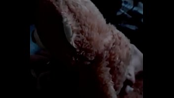 Godofredo El Oso Polla Empieza Su Carrera