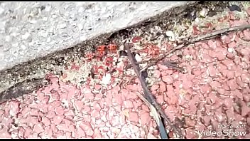 Red Slut Fucked By A Hairy Mach With The Song Of Sweet Dreams Br Funk Remix Mp3.