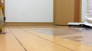 Dsfsdfs, Dsdfsdf - Unknown - 2025 - Hot - Scene - Video 3854551