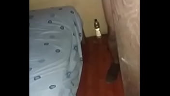 Shemale, Cacanero - Shemale - 2025 - Steamy - Session - Video 4017556