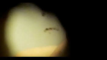 Espía En Sanitario Unicenter