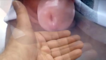 Pauzudo Deixou Marido Com Tes_o