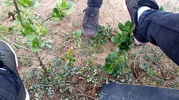 Fotosintesis En Acción