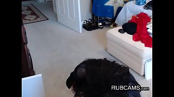 Tempting Amateur Tranny Escort