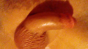 Smooth Vers Bottom Lubed Up