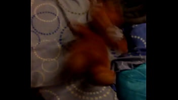 Azotando A El Hijo Del Oso De La Otra Vez Bien Chido Pero Me Ha Metio Un Zarpazo El Hijo De Puta Asiq Me He Ido Al Po...