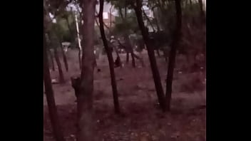 Vaghari Aunty Outdoor 2