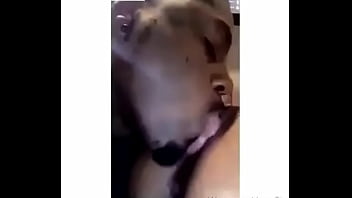 Homemade, Oral-sex, Black-lesbians, Eating-pussy, Licking-pussy, Cum-in-my-mouth, Moan-for-daddy - Real_amateur - 2025 - Passionate - Scene - Video 3953615