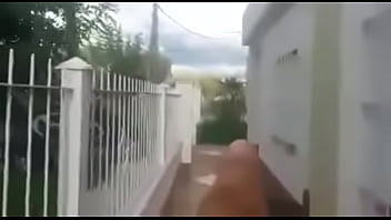 Funny, Random - Unknown - 2025 - Incredible - Scene - Video 3953766