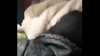 Putiflaka, Chiquimosca - Unknown - 2025 - Passionate - Session - Video 3799253