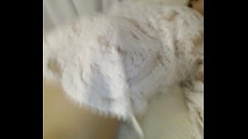 Gigi De Palermo Roma