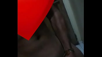 Gato Sarado Pegando No Pau