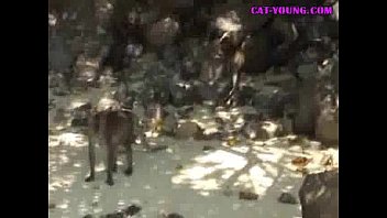 Fun-times-with-asian-teen