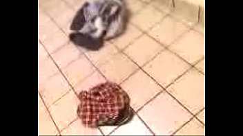 Bathroom Blow Job, Secretly Recorded! Lol