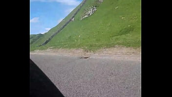 Deepthroat, Funny, Driving, Soloboy, Sheep - Unknown - 2025 - Incredible - Session - Video 4011357