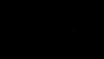 San Carlos Cojedes Venezuela Un Culito Nuevo