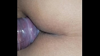 B. De Puebla Fichera