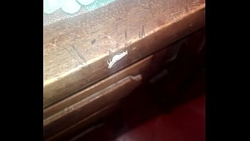 Porno De Bichos En La Mesa De La Cocina