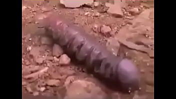 Mi Verga-penis Sale A Explorar En Busca De Una Vagina De Mis Amigas Dexvideos!!