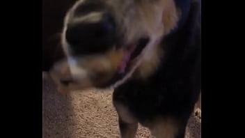 Eating Nuts Off Spoon