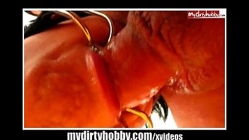 Schwanz Ins Maul Gebunden