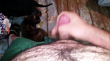 Gay, Jackoff, Bear, Precum, Cub, Chub, Small-cock, Micro-cock - Gay - 2025 - Steamy - Session - Video 3898075