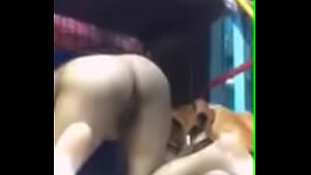 Sex Video Pakistani