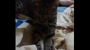 Un Dia Normal Con Mia Kalifa