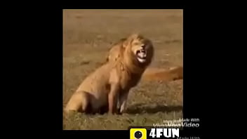 Big-tits, Choot, Bhabi, Soloboy, Punjab - Big_tits - 2025 - Sexy - Experience - Video 3897717