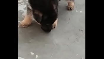 Matka, Satta, Satta-king, Satta-matka, Satta-bazar, Sattamatka, Indian-satta-matka, Kalyan-matka-jod - Unknown - 2025 - Intense - Performance - Video 3960113