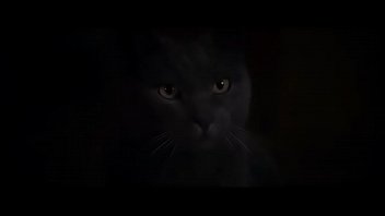 Hollywood Movie' Best Romaince Video