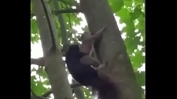 Sexo Gay Interracial