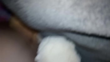 Ich Und Meine Stofftiere