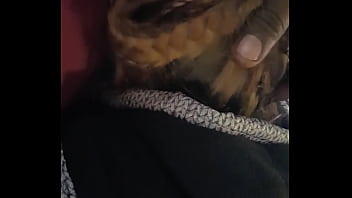 Dawn-smyers, Alphonso-thomas - Unknown - 2025 - Wild - Show - Video 3861893