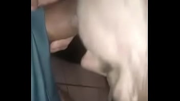 My Sexii Wife Sucking My Fat Cock