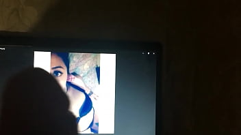 Tributo A Gatitaporty